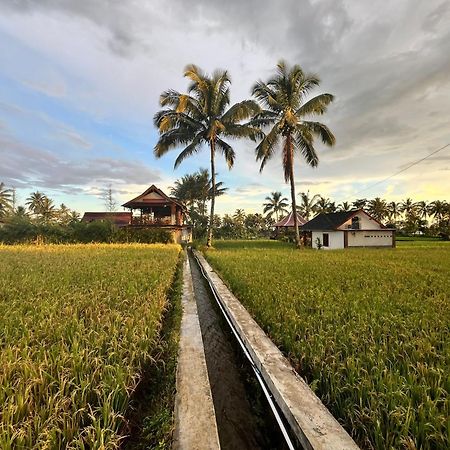 Rice Field Inn - Lombok Tetebatu Zewnętrze zdjęcie