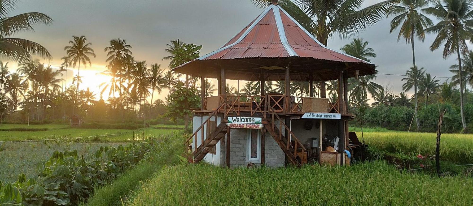 Rice Field Inn - Lombok Tetebatu Zewnętrze zdjęcie