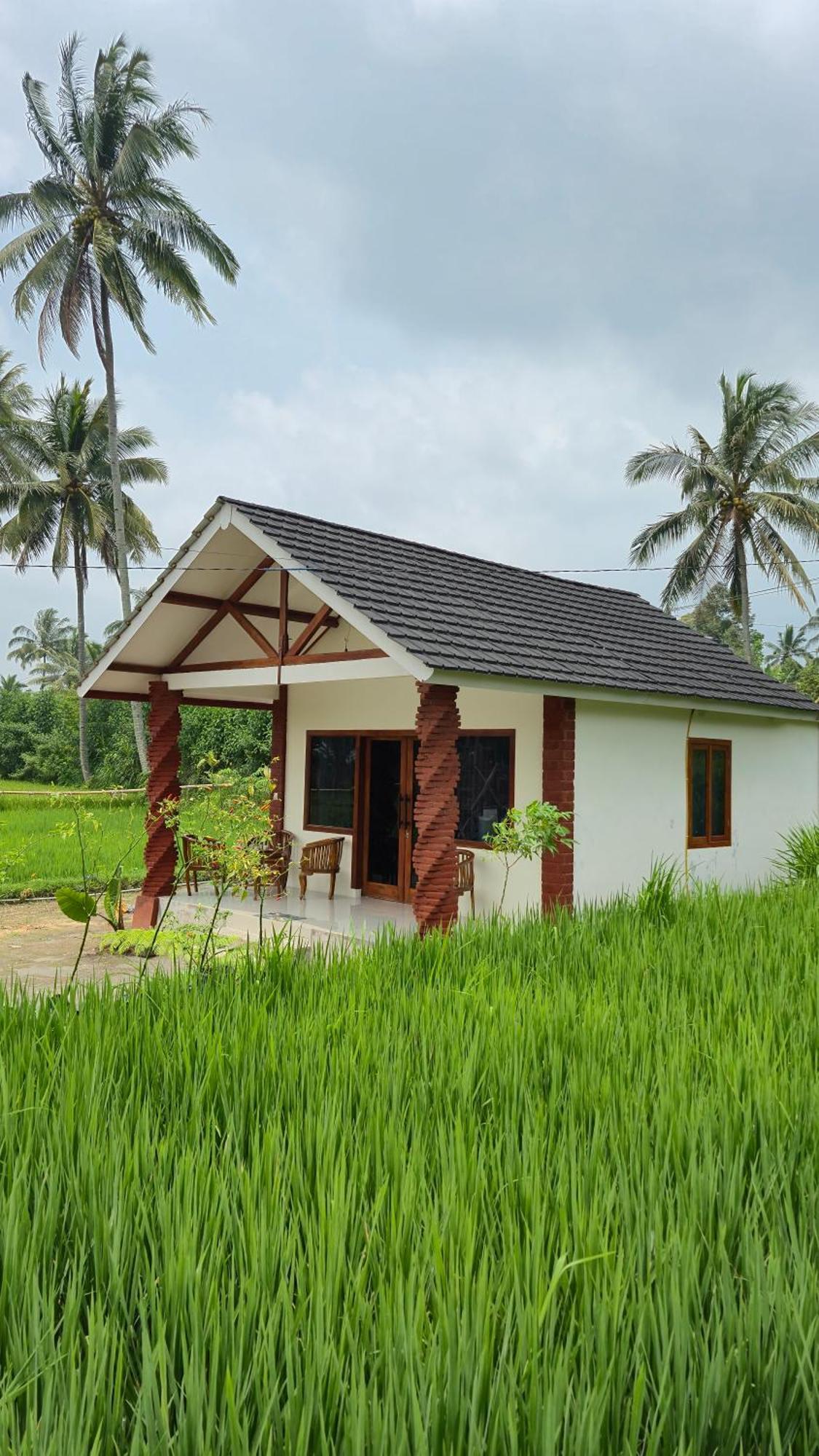 Rice Field Inn - Lombok Tetebatu Zewnętrze zdjęcie