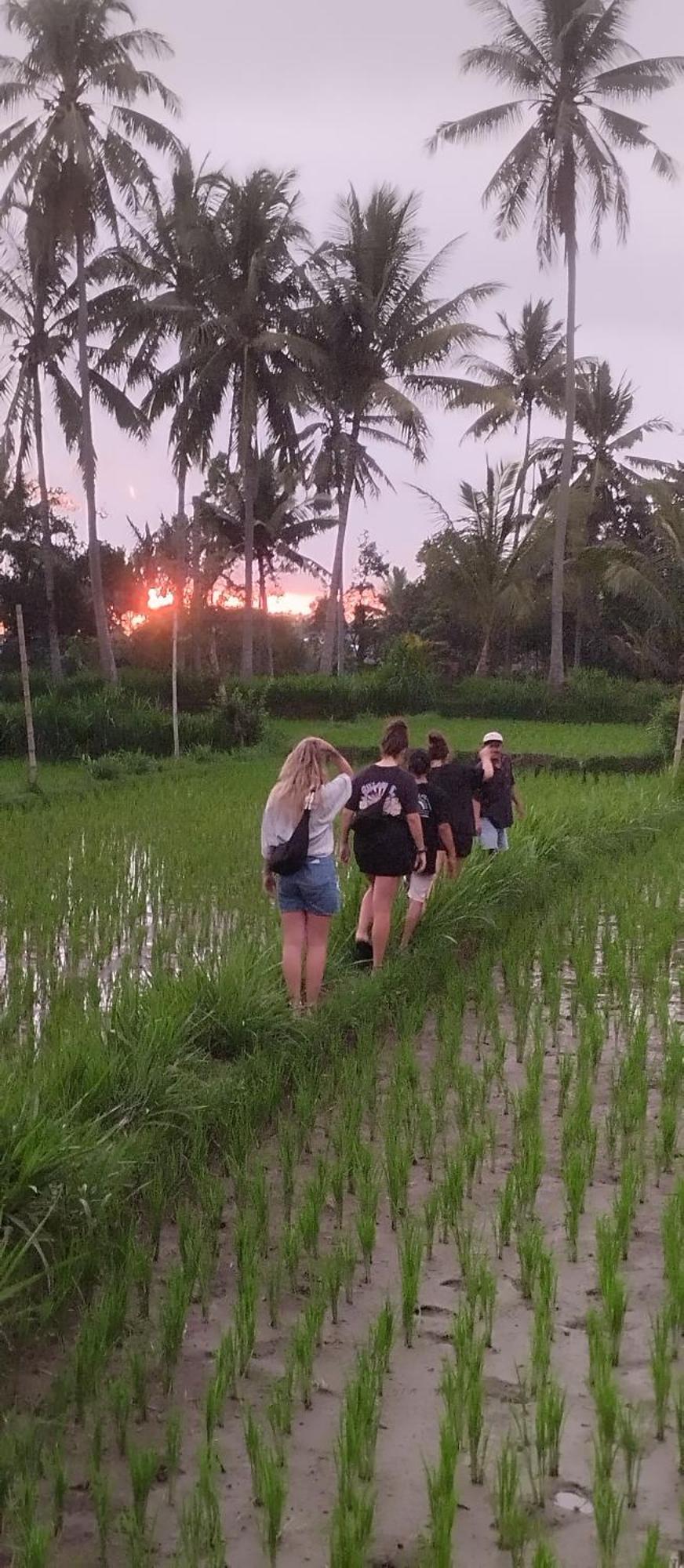 Rice Field Inn - Lombok Tetebatu Zewnętrze zdjęcie