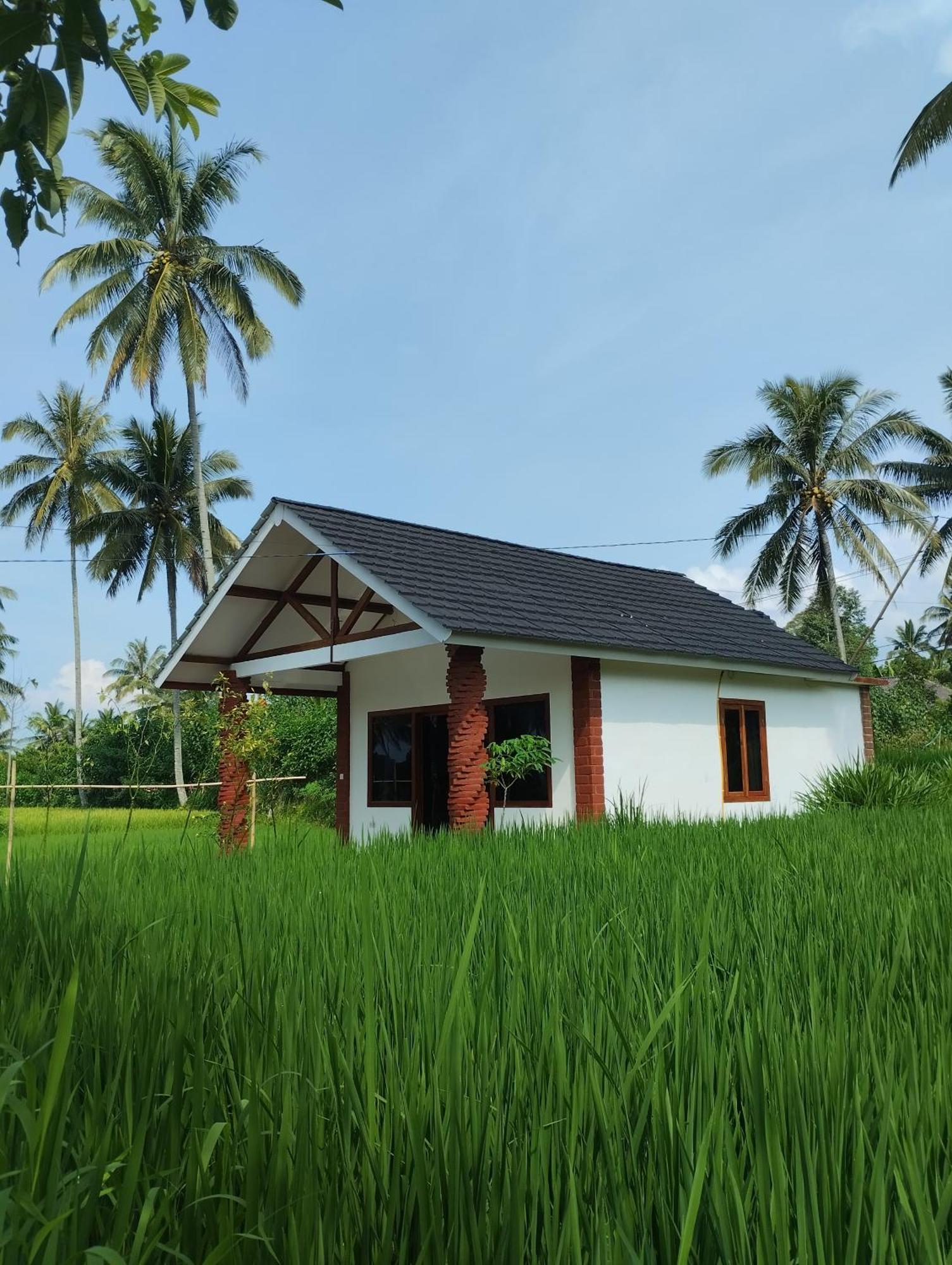 Rice Field Inn - Lombok Tetebatu Pokój zdjęcie