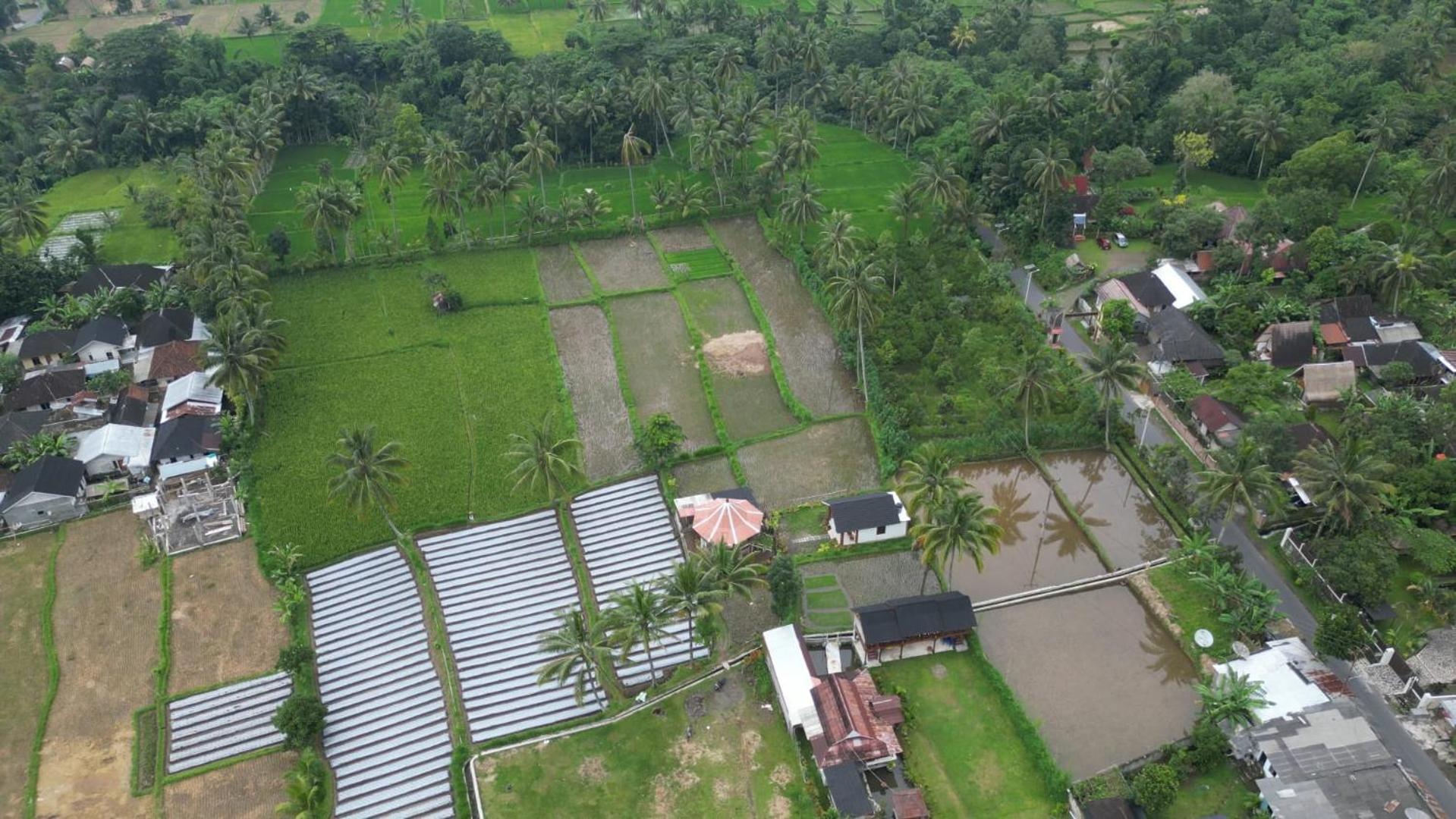 Rice Field Inn - Lombok Tetebatu Zewnętrze zdjęcie