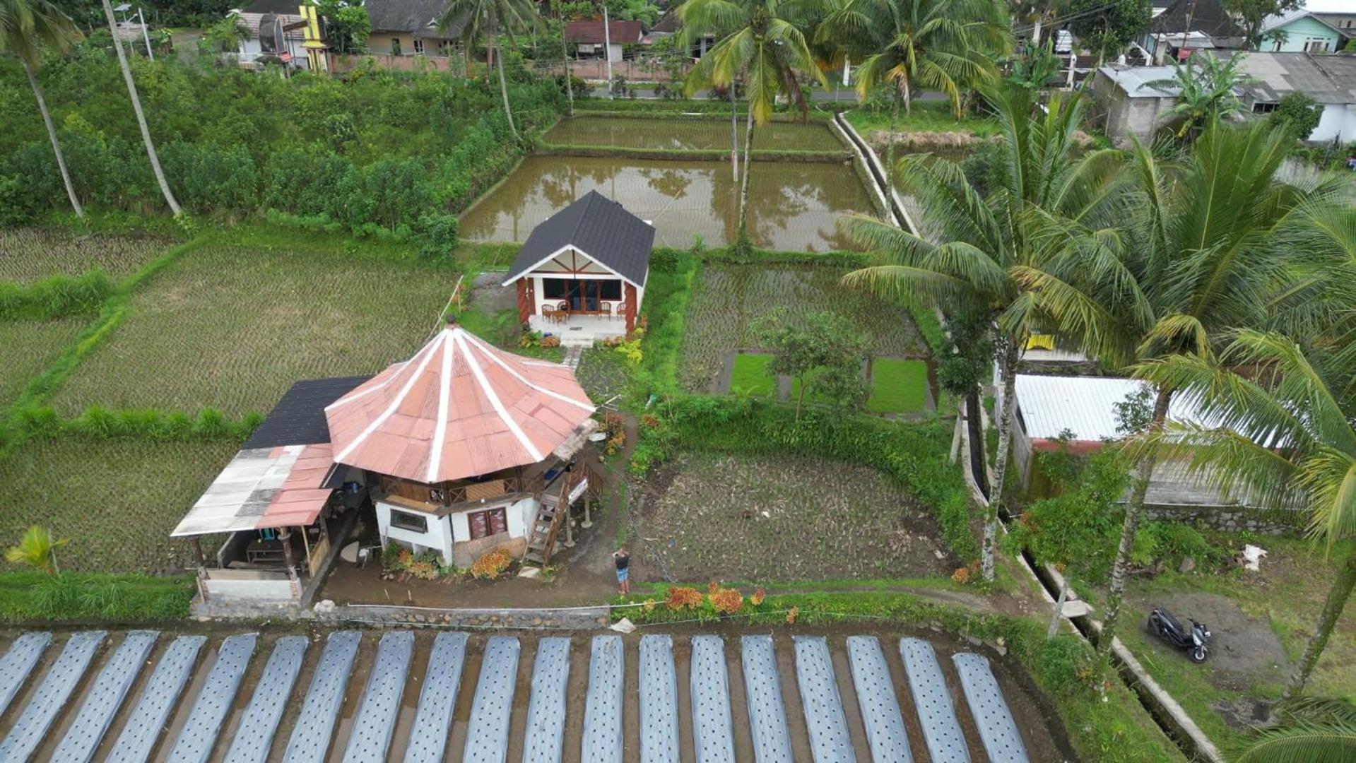 Rice Field Inn - Lombok Tetebatu Zewnętrze zdjęcie
