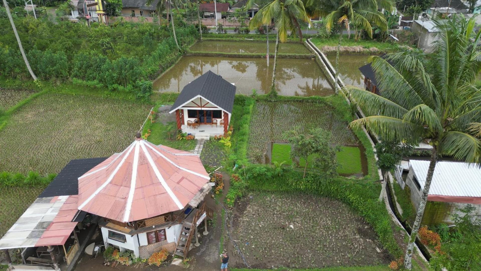 Rice Field Inn - Lombok Tetebatu Zewnętrze zdjęcie