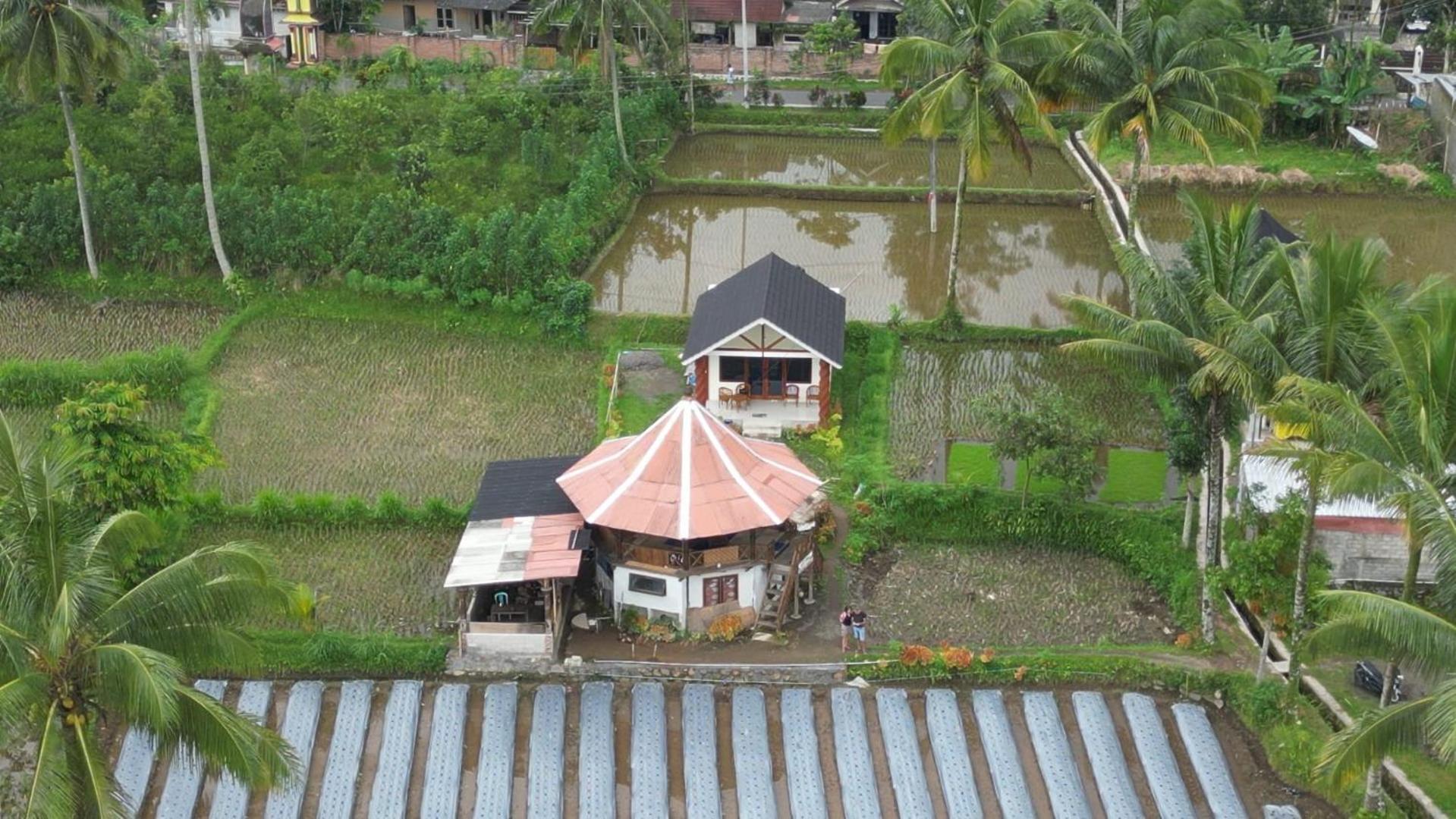 Rice Field Inn - Lombok Tetebatu Zewnętrze zdjęcie