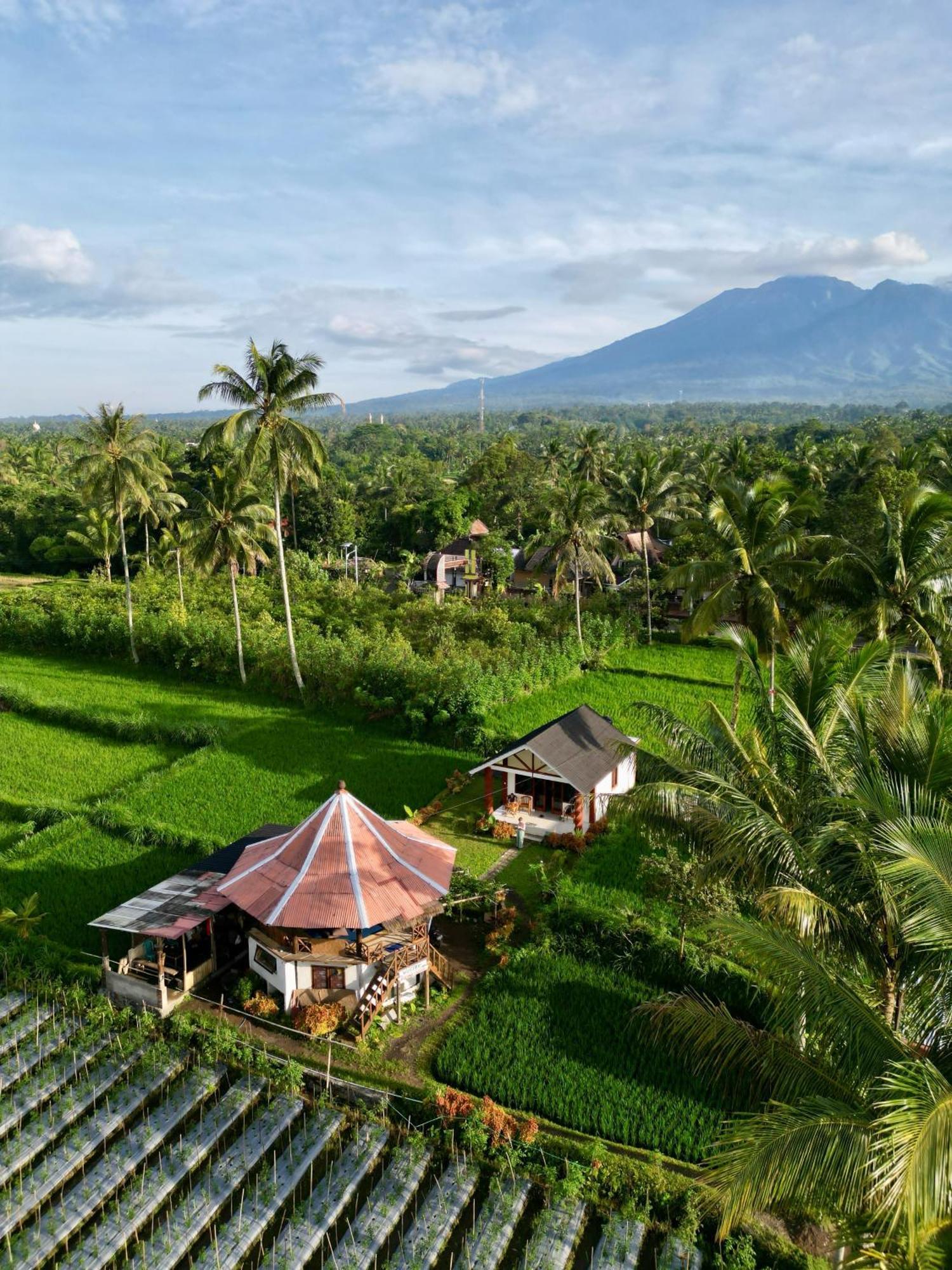 Rice Field Inn - Lombok Tetebatu Zewnętrze zdjęcie
