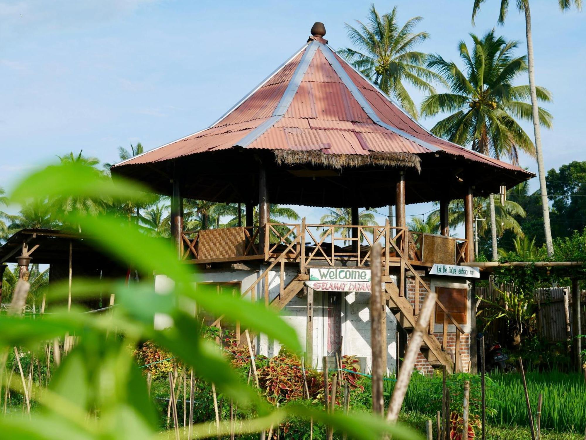 Rice Field Inn - Lombok Tetebatu Zewnętrze zdjęcie