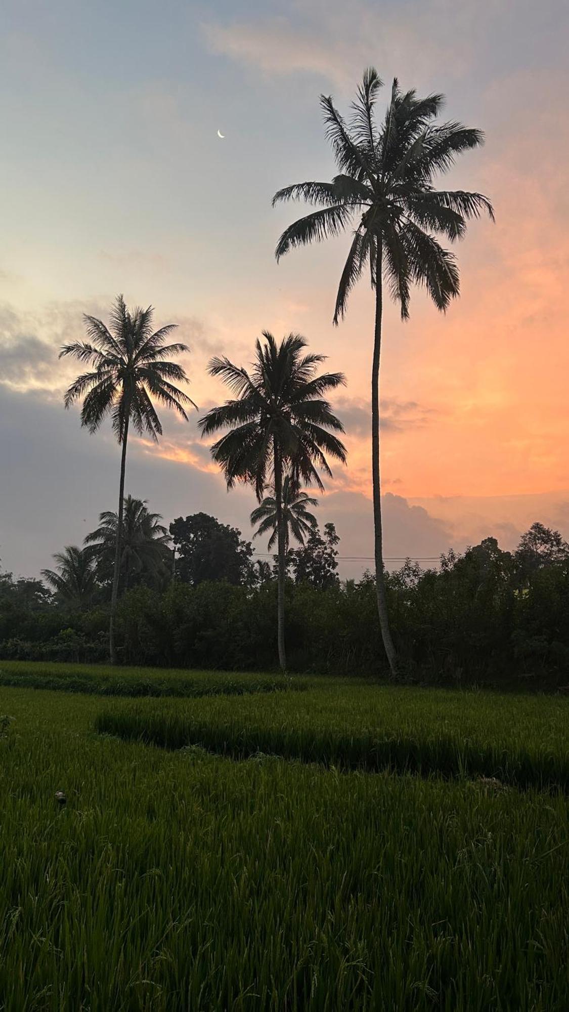 Rice Field Inn - Lombok Tetebatu Zewnętrze zdjęcie