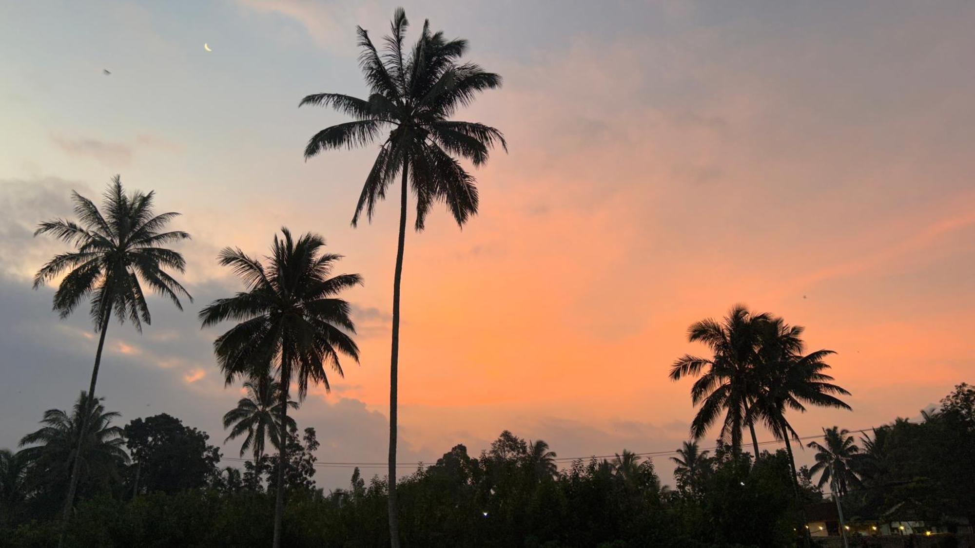 Rice Field Inn - Lombok Tetebatu Zewnętrze zdjęcie