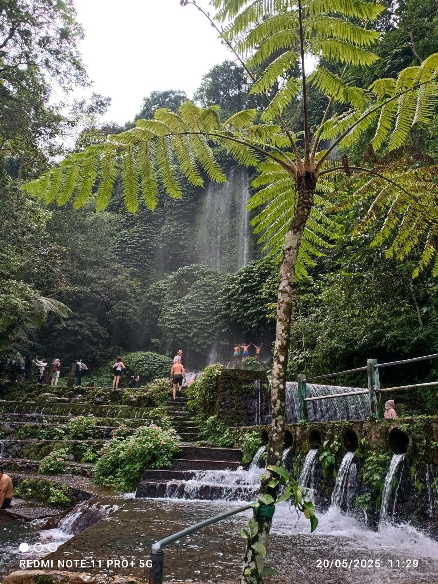 Rice Field Inn - Lombok Tetebatu Zewnętrze zdjęcie